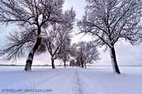 Ottawa 1st snowstorm 2013